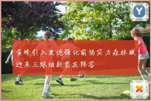 黄蜂引入里德强化前场实力森林狼迎来三球组新首发阵容